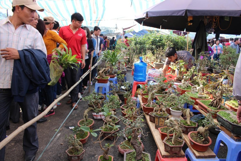 Chợ Viềng Xuân Vụ Bản – Phiên chợ cầu may độc nhất vô nhị