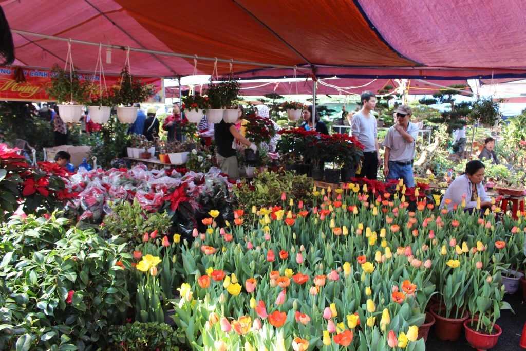 Chợ Viềng Xuân Vụ Bản – Phiên chợ cầu may độc nhất vô nhị