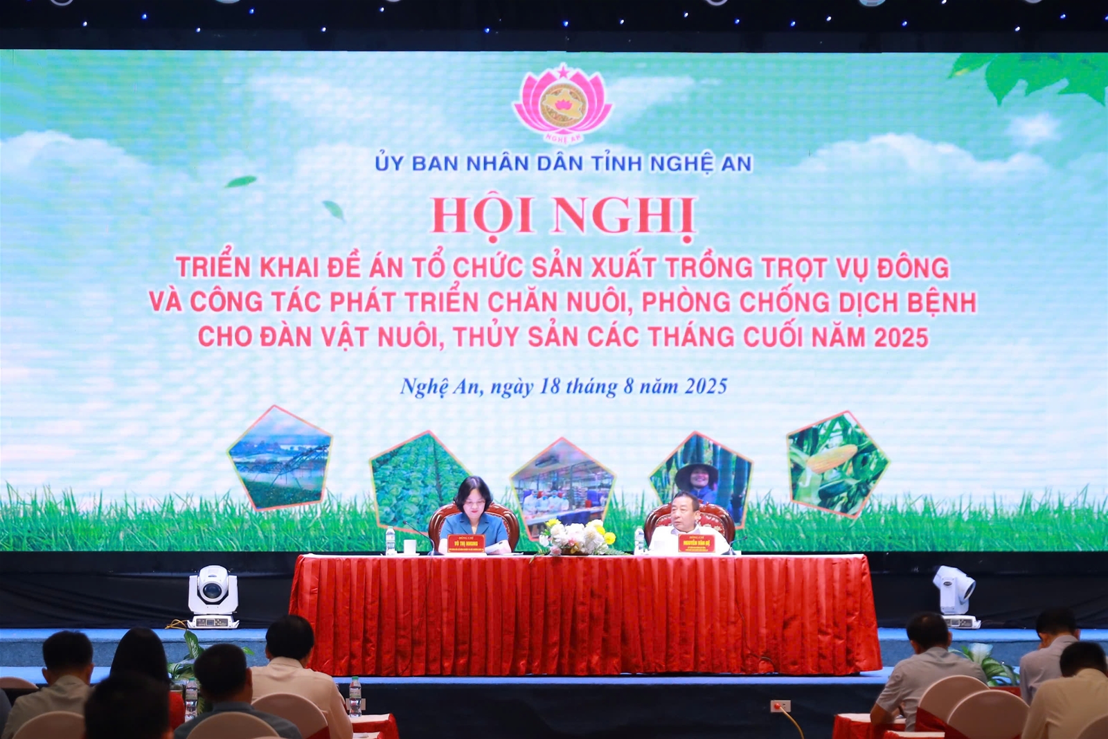 Nghệ An: Chủ động thích ứng, nâng cao hiệu quả trong sản xuất vụ đông 2025