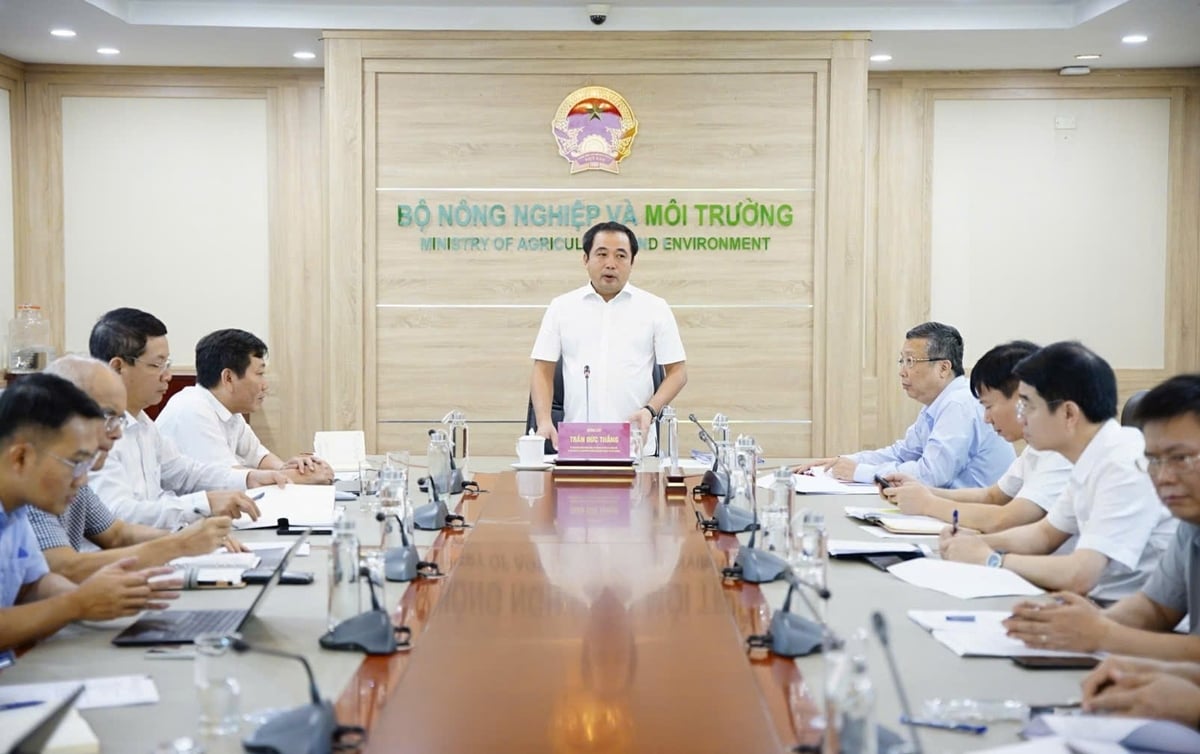 Quyền Bộ trưởng Trần Đức Thắng chủ trì cuộc họp với Vụ Hợp tác quốc tế sáng 22/8. Ảnh: Linh Linh.