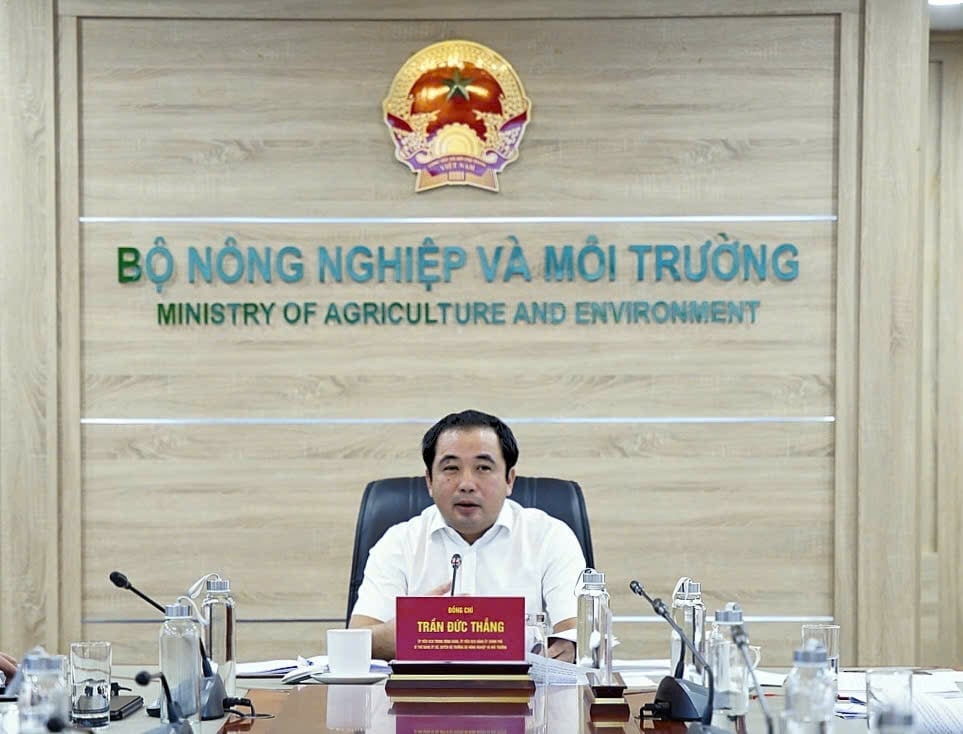 Quyền Bộ trưởng Trần Đức Thắng chỉ đạo tại cuộc họp. Ảnh: Linh Linh.