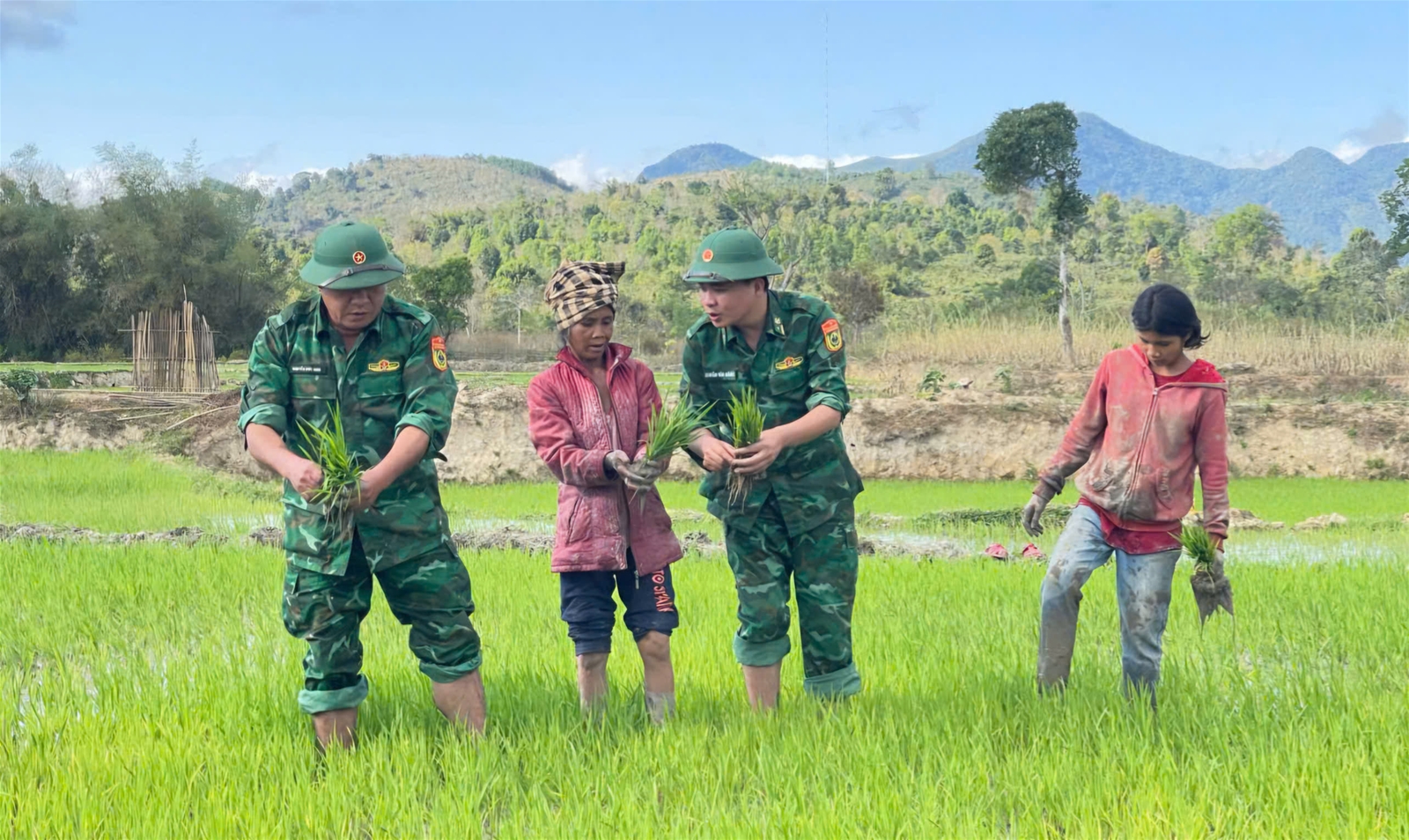 Quảng Trị: Chương trình “Thứ bảy về bản” giúp bà con vùng biên giới trồng lúa nước