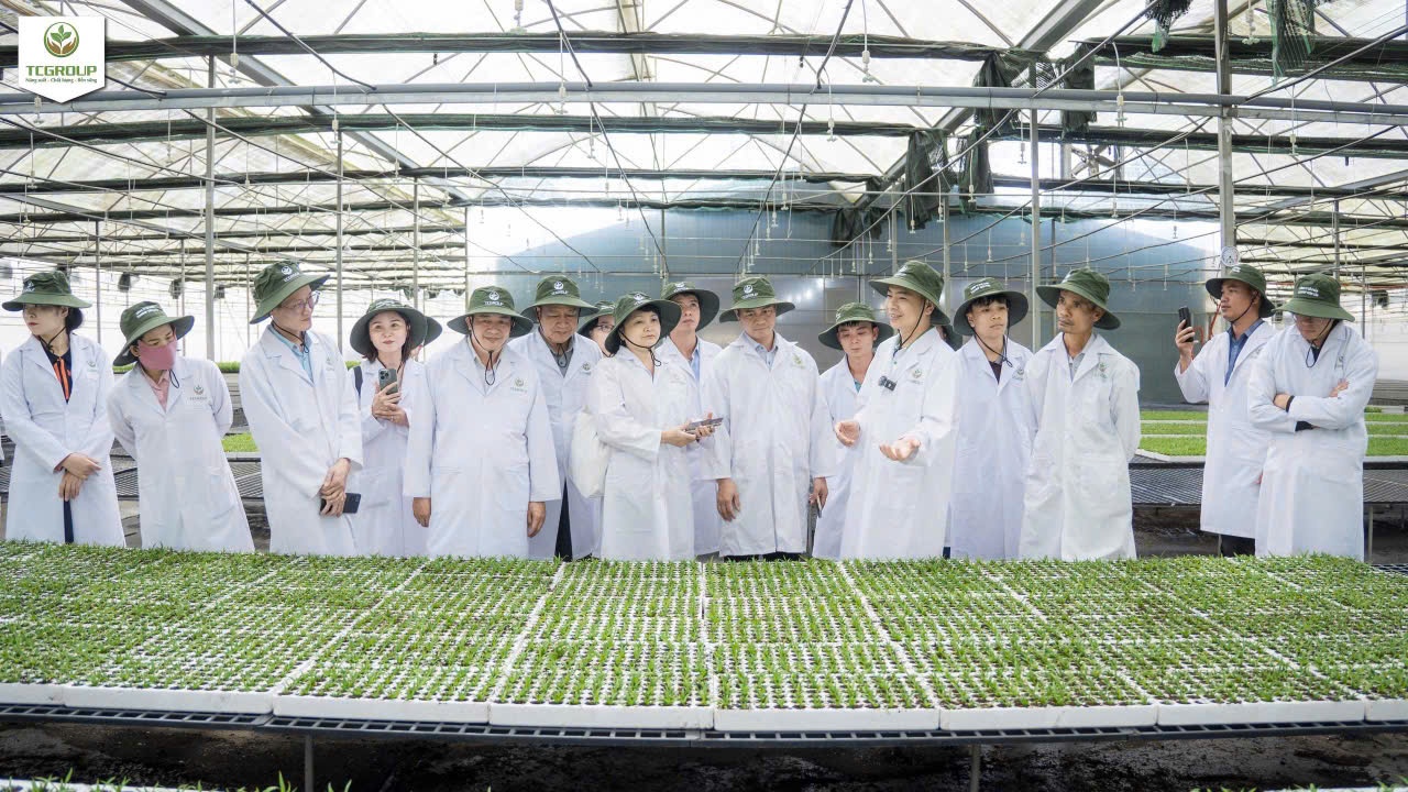 Đoàn công tác nghe chuyên gia trình bày quy trình chăm sóc cây giống tại mô hình nhà kính thông minh của Công ty Cổ phần TCGroup Toàn Cầu