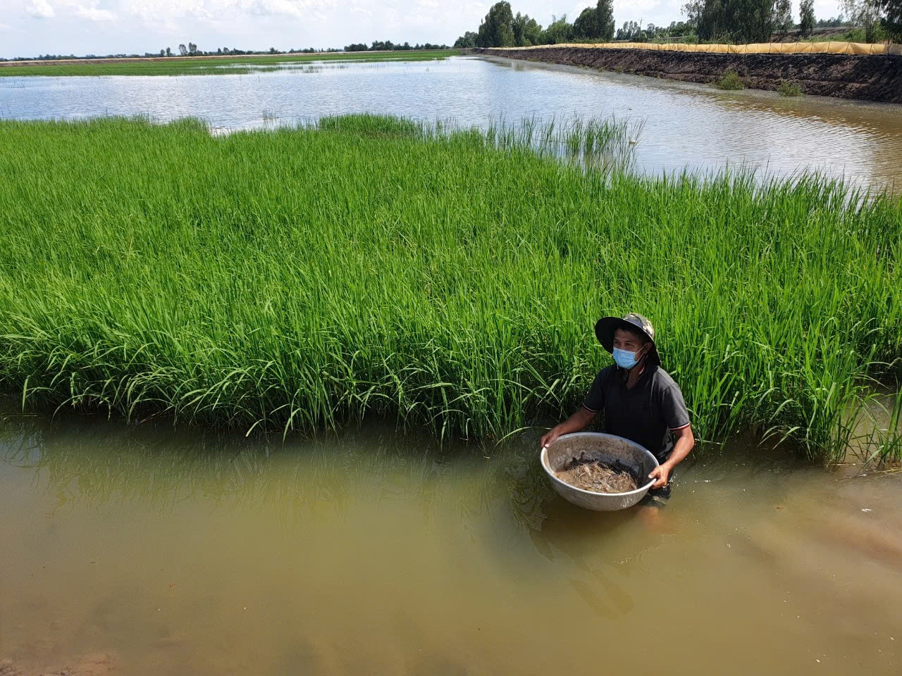 Vùng ĐBSCL và mục tiêu kinh tế tuần hoàn trong nuôi trồng thủy sản Vùng ĐBSCL và mục tiêu kinh tế tuần hoàn trong nuôi trồng thủy sản