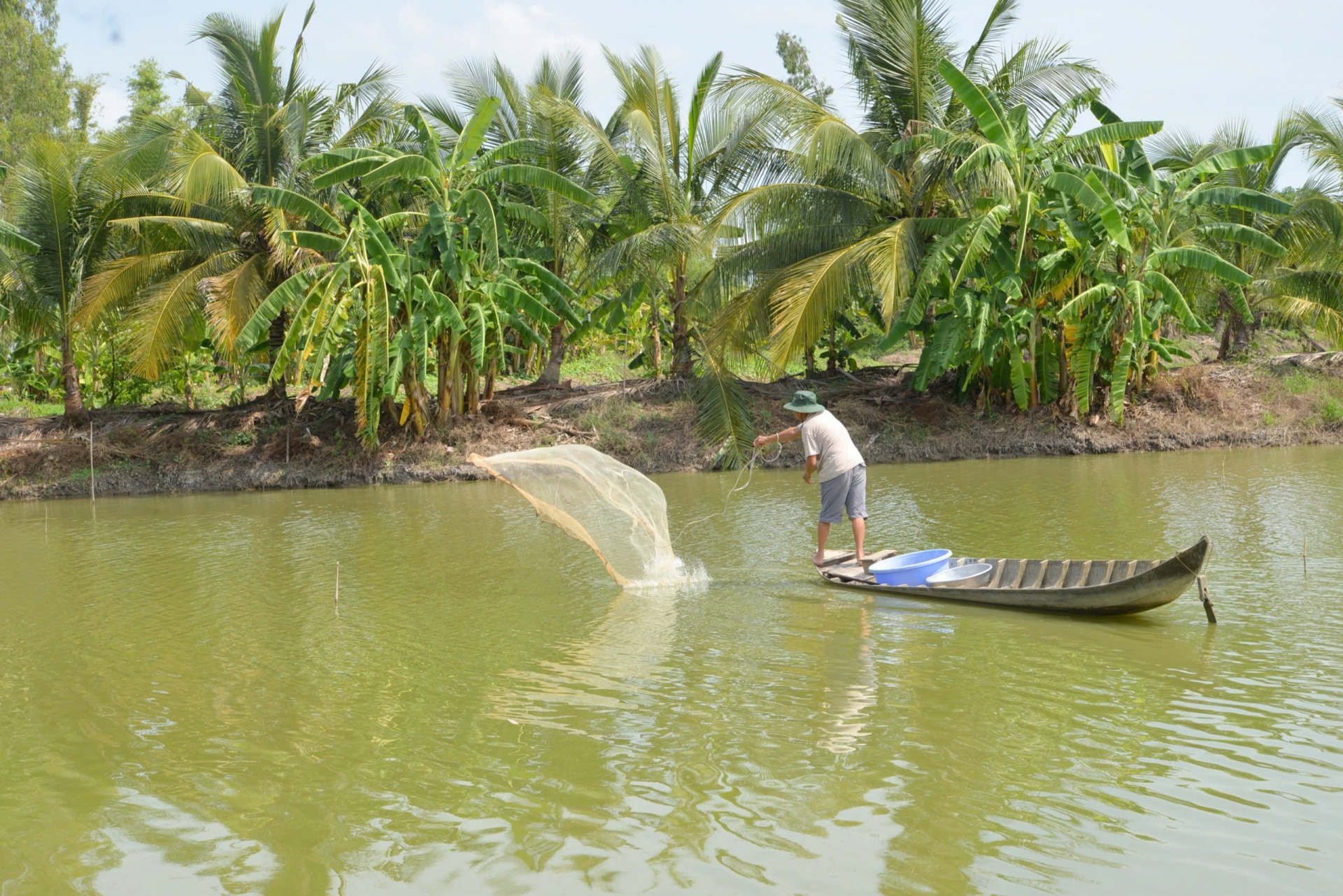 Vùng ĐBSCL và mục tiêu kinh tế tuần hoàn trong nuôi trồng thủy sản Vùng ĐBSCL và mục tiêu kinh tế tuần hoàn trong nuôi trồng thủy sản