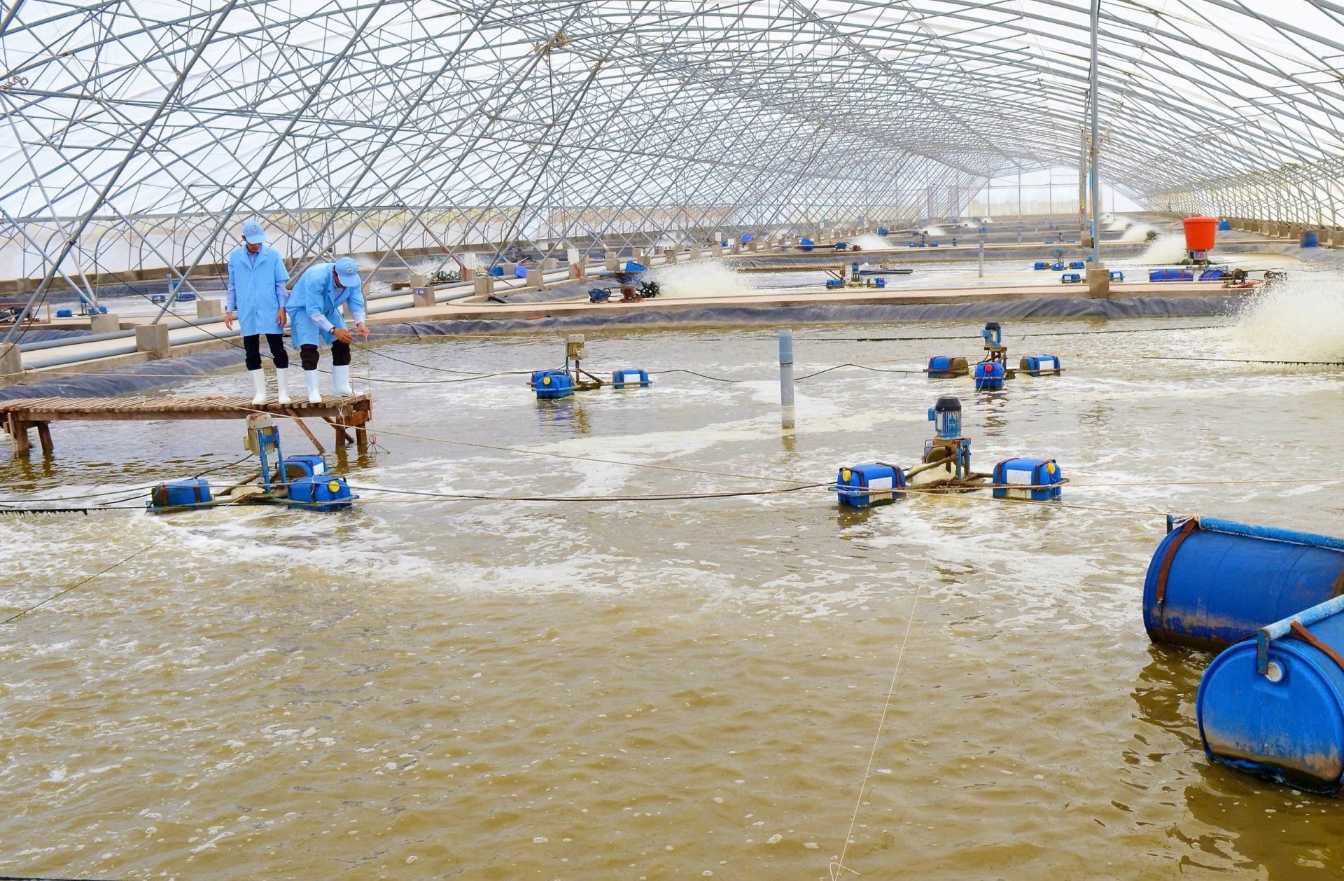 Vùng ĐBSCL và mục tiêu kinh tế tuần hoàn trong nuôi trồng thủy sản Vùng ĐBSCL và mục tiêu kinh tế tuần hoàn trong nuôi trồng thủy sản