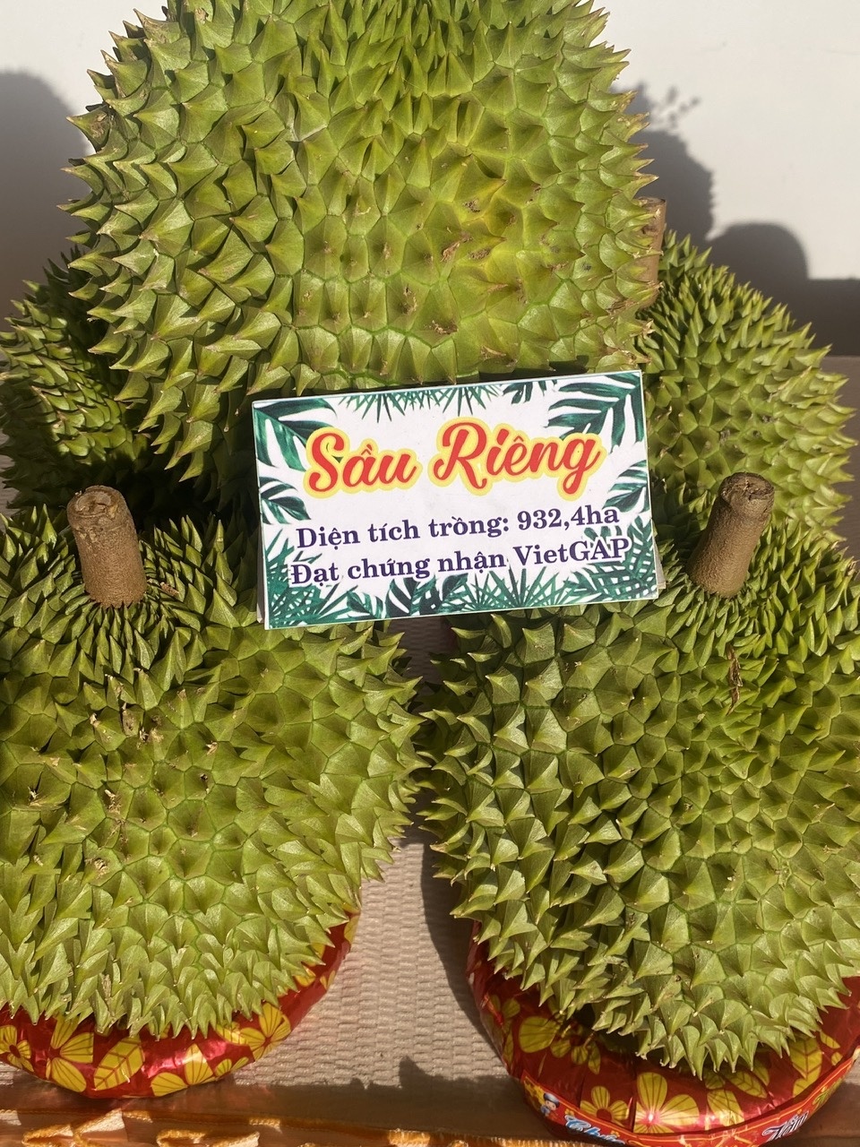 Khi Bí thư xã làm “Đại sứ OCOP” ở xã Tân Hòa, TP. Cần Thơ