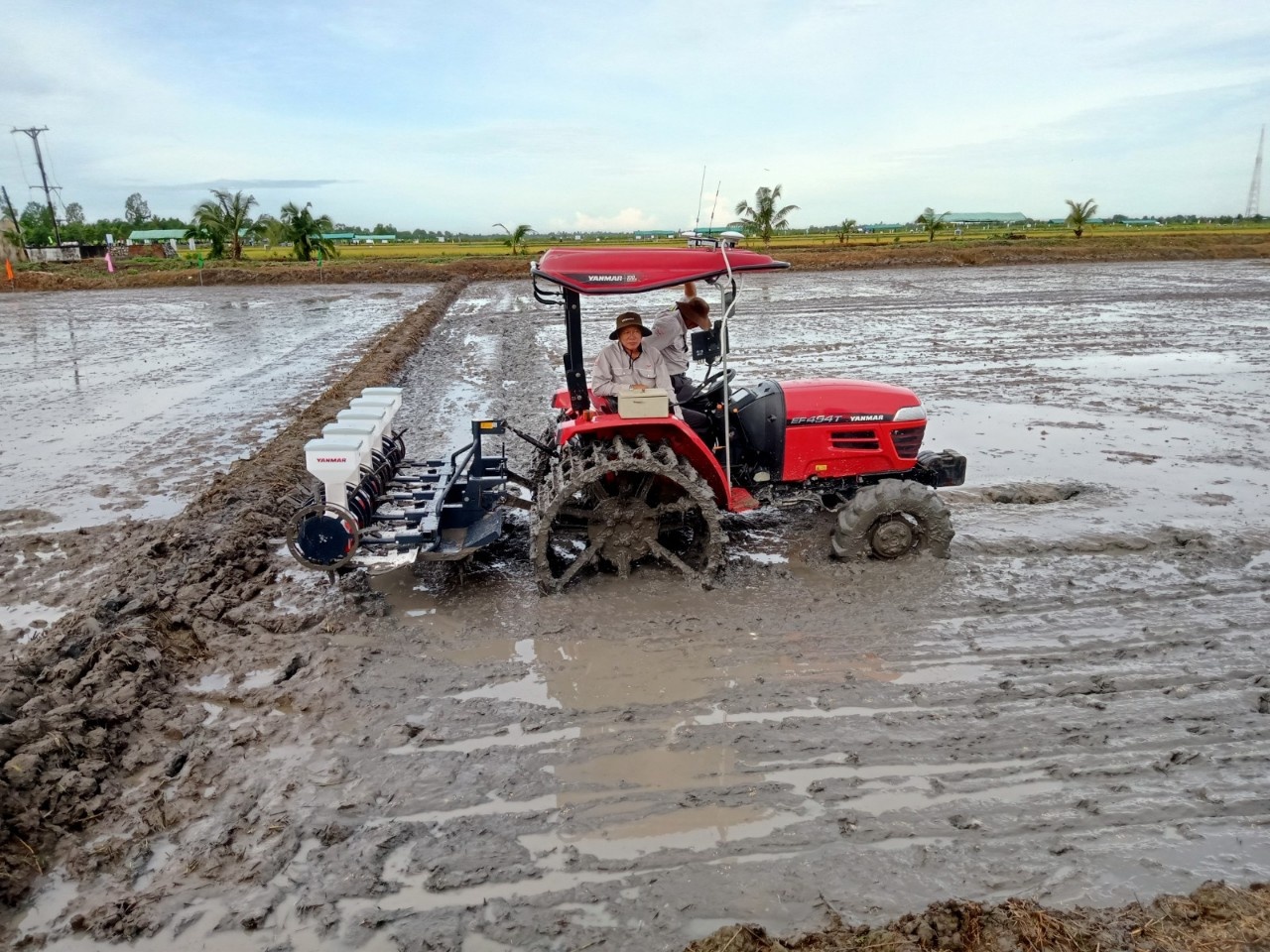 Tăng trưởng xanh từ nông nghiệp tuần hoàn và công nghệ số