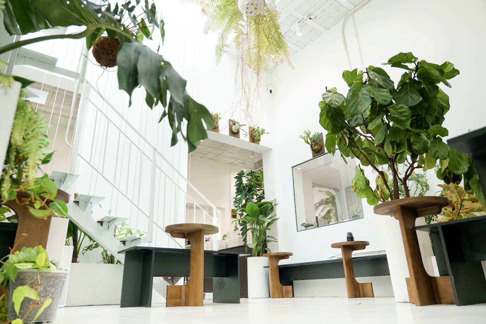    Hành trình lên quán qua một chiếc cầu thang tạo ra sự tương phản giữa lối vào hoài niệm và không gian hiện đại, ngập ánh sáng bên trên. Nguồn ảnh: XLIII Coffee