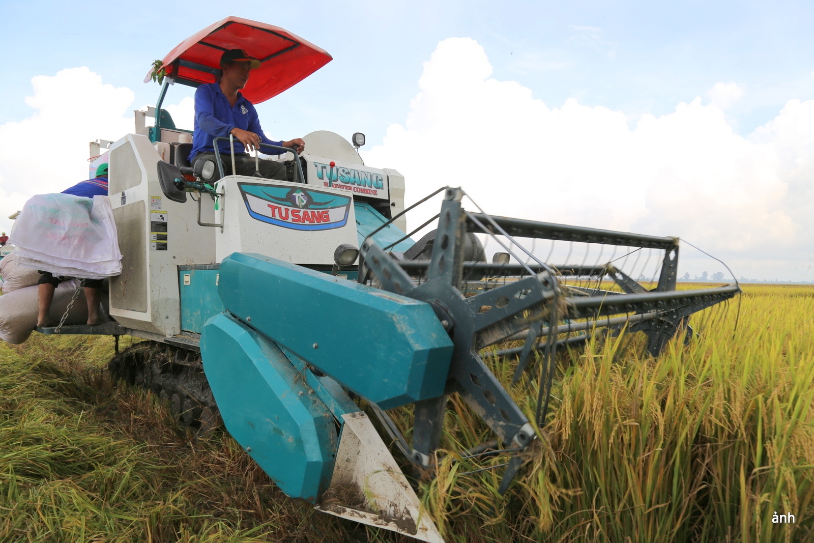 Nông nghiệp Việt Nam tiến thêm một bước trong thực hiện cam kết COP26