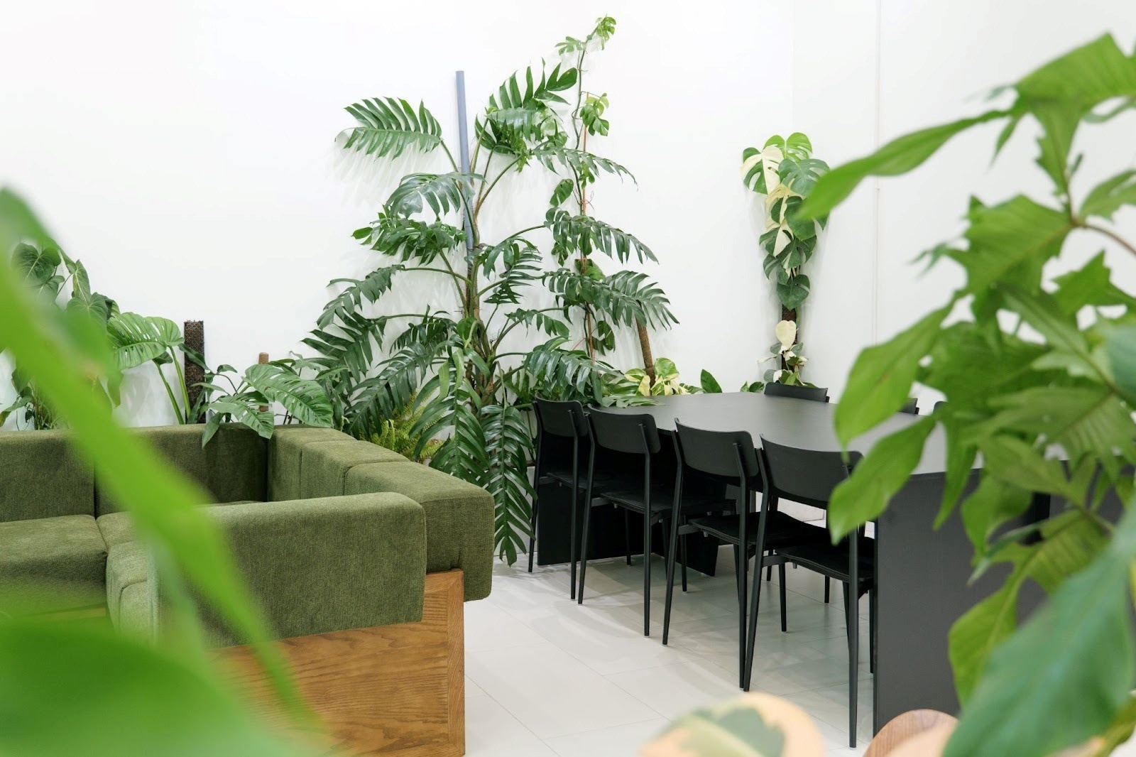 XLIII Coffee Hà Nội - 