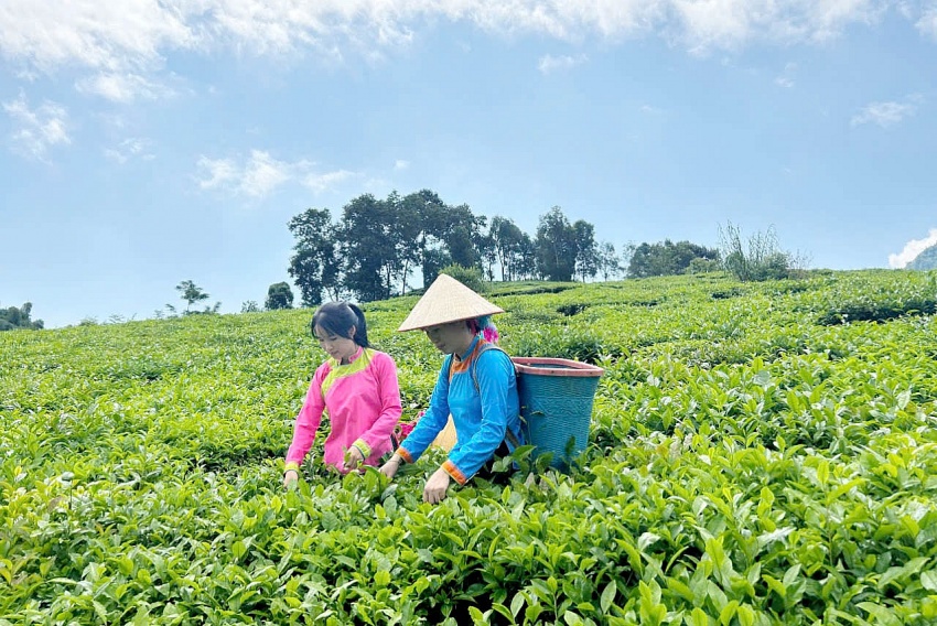 Lai Châu: Phát huy sức mạnh đại đoàn kết, tạo động lực thực hiện Nghị quyết Đại hội XV