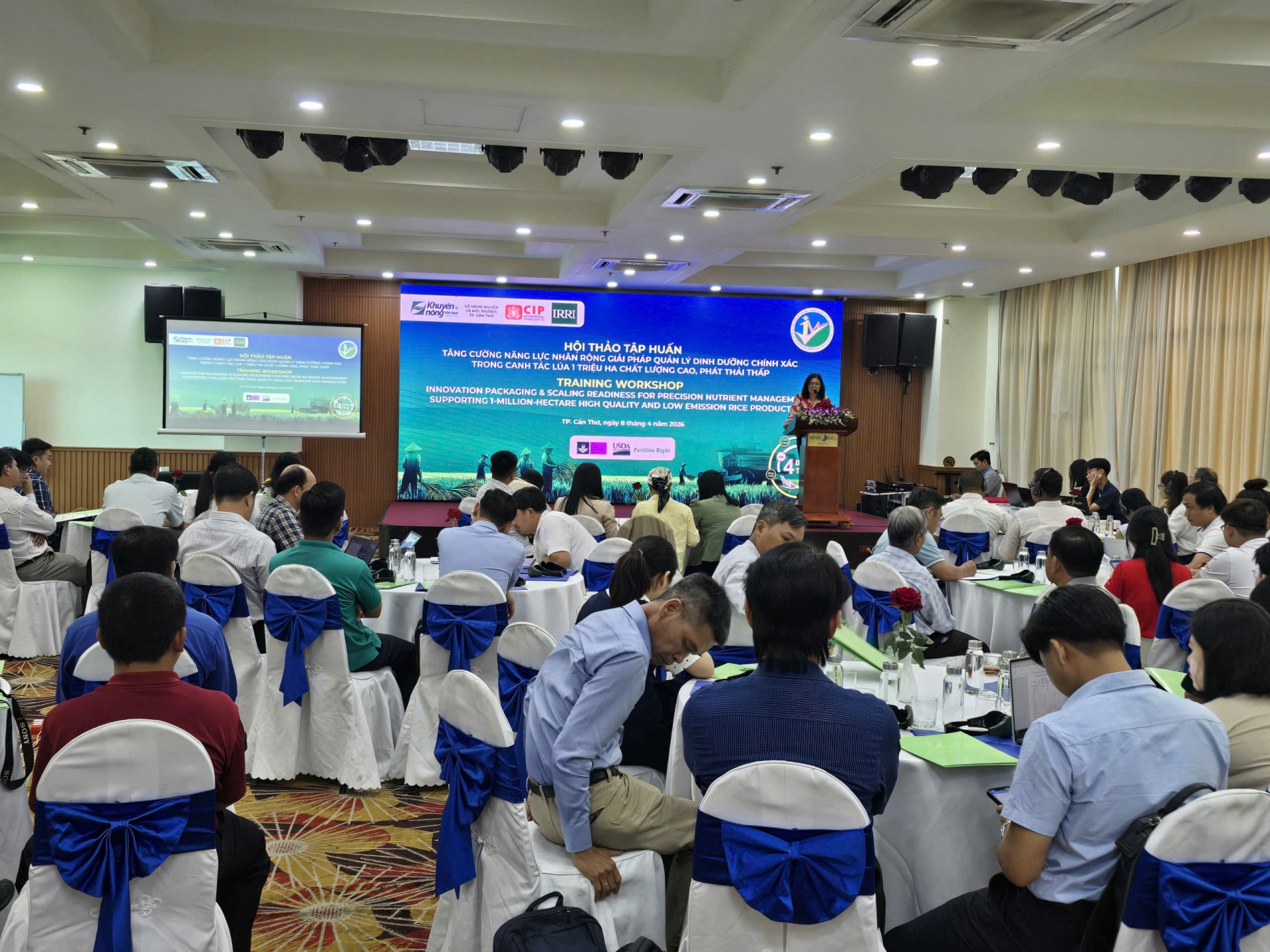 Giúp nông dân miền Tây tăng hiệu quả sản xuất lúa chất lượng cao, phát thải thấp