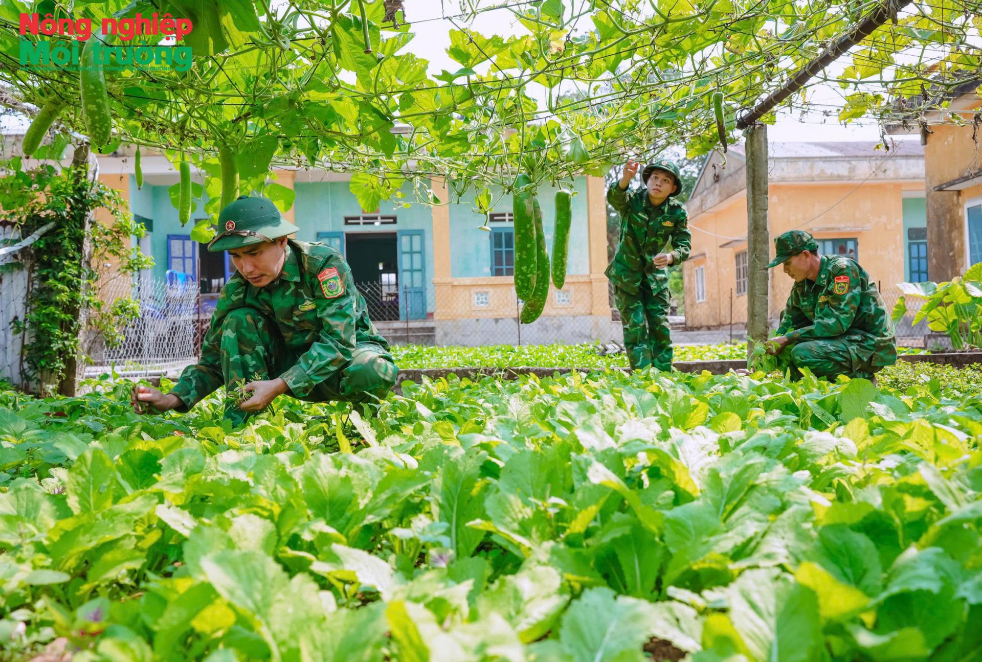 3-chu-bo-doi-trong-bi_1776146100.jpg