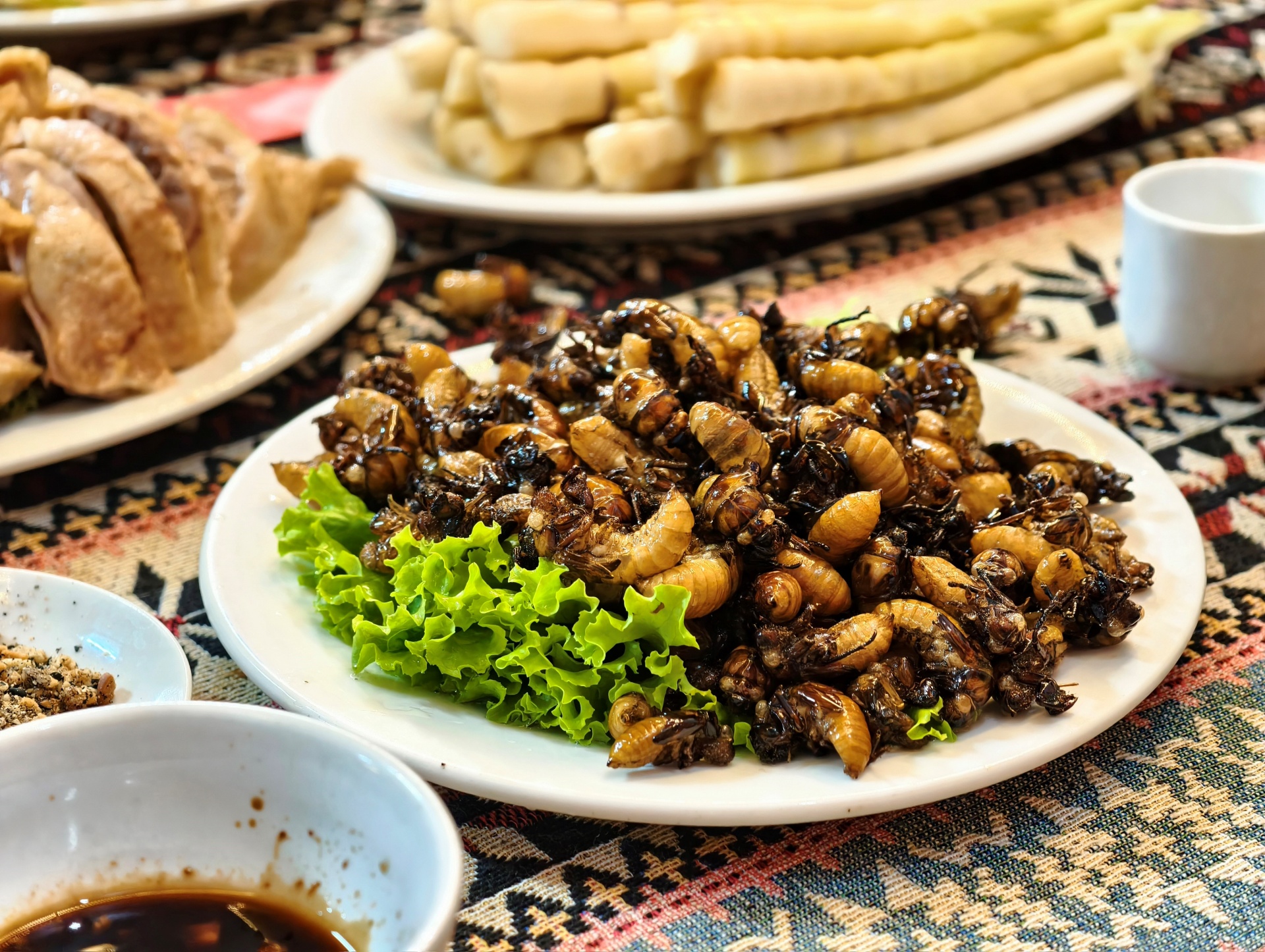 Ngọc Chiến: Miền cổ tích dưới tán hoa sơn tra