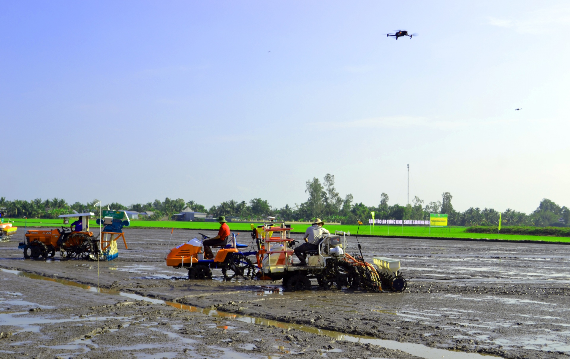 Giúp nông dân miền Tây tăng hiệu quả sản xuất lúa chất lượng cao, phát thải thấp