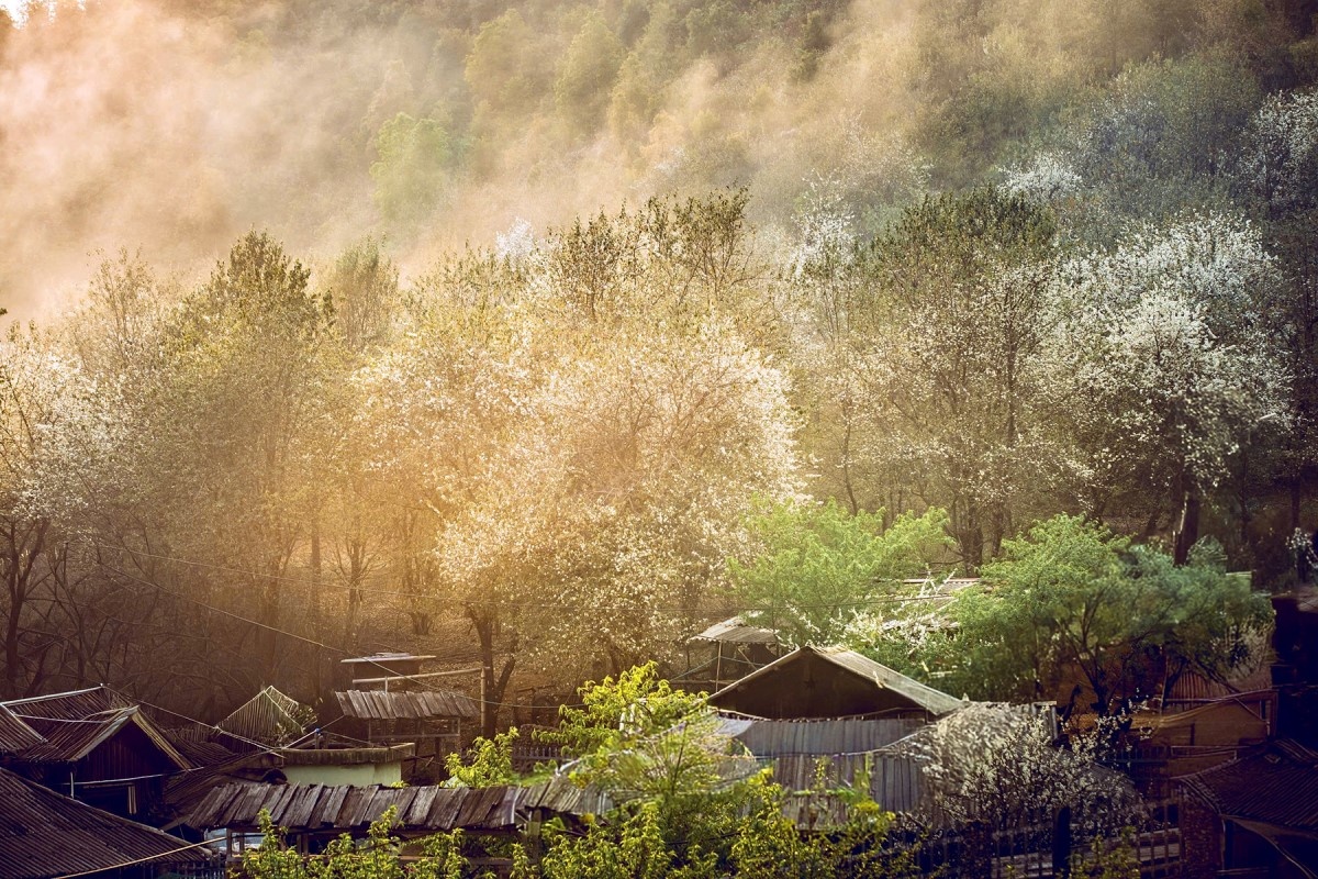 Ngọc Chiến: Miền cổ tích dưới tán hoa sơn tra