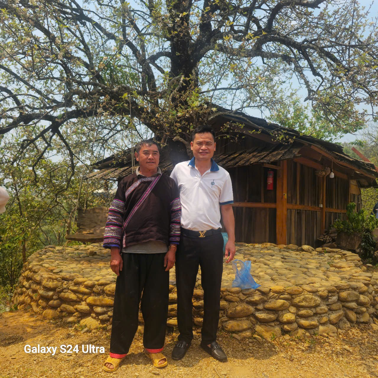 Ngọc Chiến: Miền cổ tích dưới tán hoa sơn tra