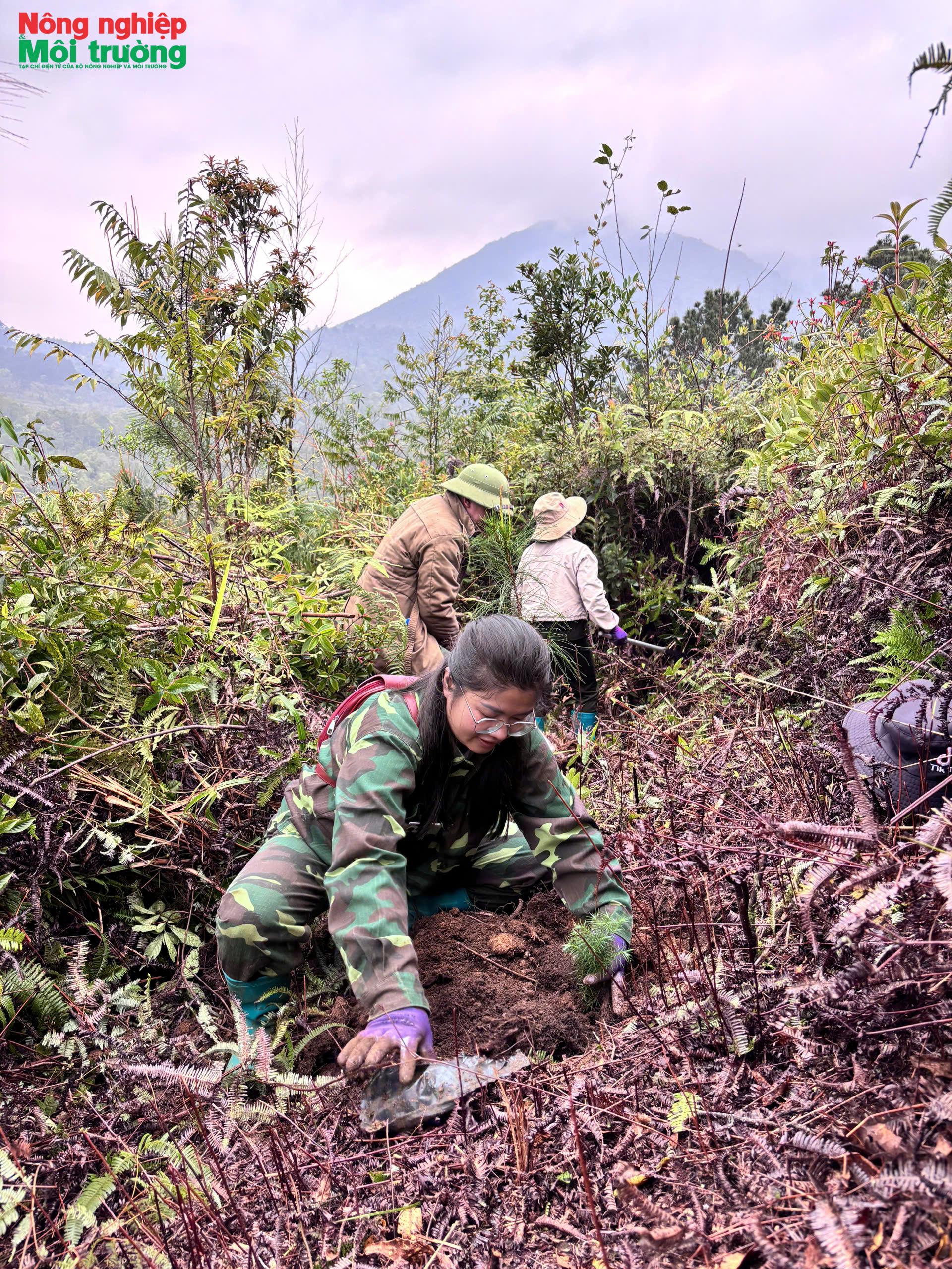 anh-3---trong-rung_1777217934.jpg