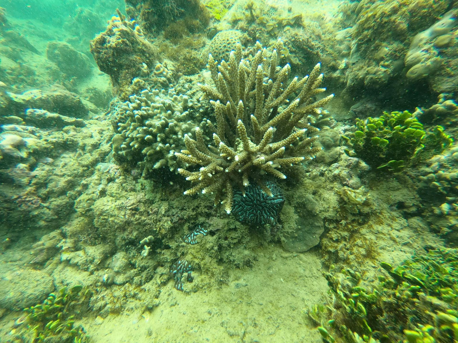 san-ho-vinh-nha-trang-1_1776390954.jpg