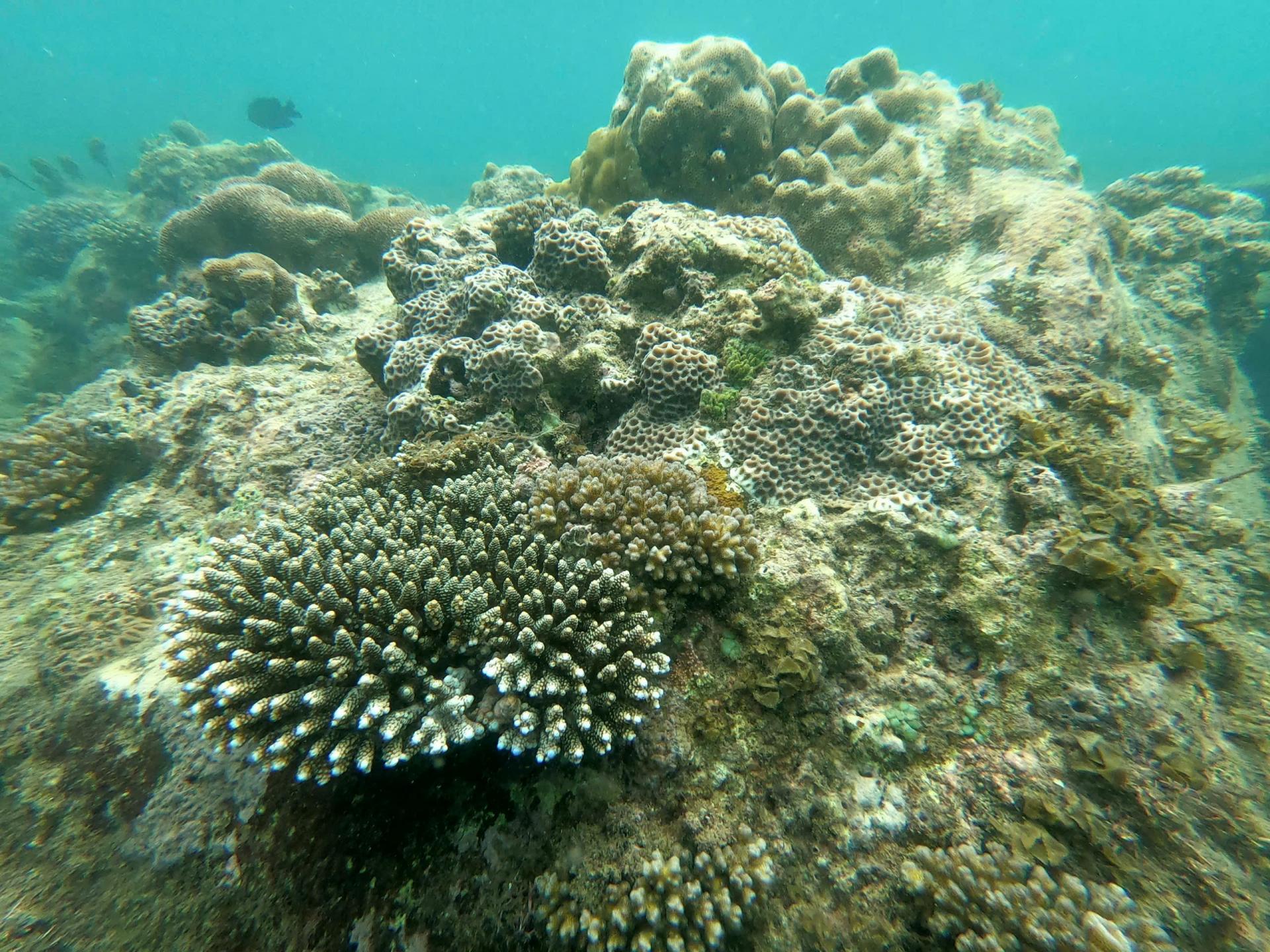 san-ho-vinh-nha-trang-6_1776390956.jpg