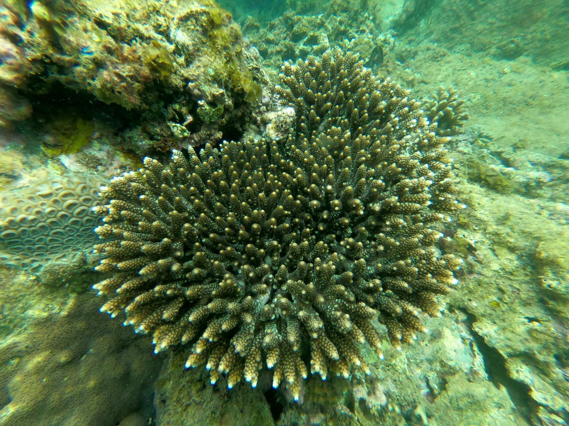 san-ho-vinh-nha-trang-7_1776390957.jpg