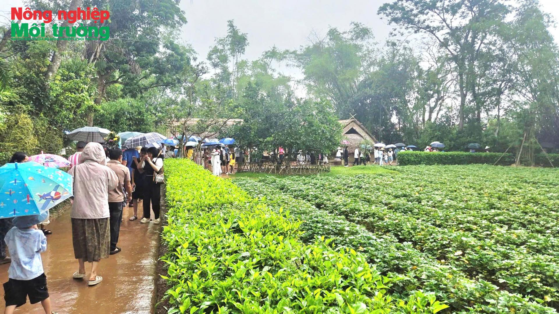 lang-sen_1777953345.jpg