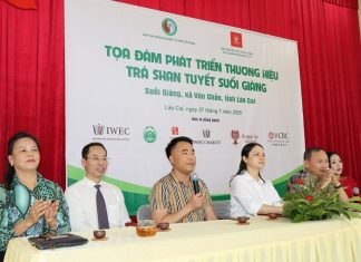 Nâng tầm trà Shan Tuyết Suối Giàng