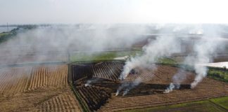 Bài 2: Giải pháp giảm phát thải mê-tan trong nông nghiệp và quản lý chất thải