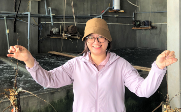 Mô hình liên kết chuỗi giá trị tôm hùm tại Đắk Lắk: Lời giải cho bài toán phát triển bền vững