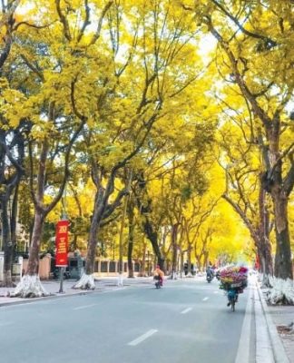 Miền ký ức vọng về từ mùa thu Hà Nội