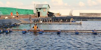 Vùng ĐBSCL và mục tiêu kinh tế tuần hoàn trong nuôi trồng thủy sản