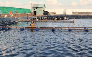 Đại hội Đảng bộ tỉnh Bắc Ninh lần thứ I thành công tốt đẹp