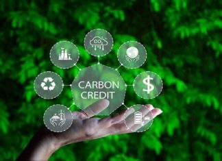 Bài 5: Cộng đồng và doanh nghiệp – Từ cam kết đến hành động thực tiễn giảm phát thải