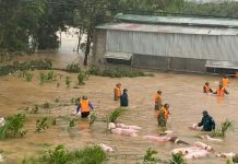 Thủ tướng Chính phủ yêu cầu tiếp tục làm tốt công tác ứng phó thiên tai