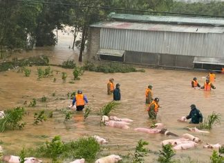 Thủ tướng Chính phủ yêu cầu tiếp tục làm tốt công tác ứng phó thiên tai