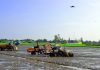 Giúp nông dân miền Tây tăng hiệu quả sản xuất lúa chất lượng cao, phát thải thấp