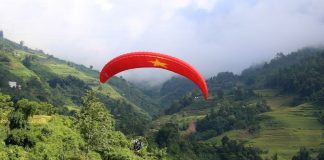 Cả nước có hơn 14,9 triệu ha rừng với tỷ lệ che phủ rừng toàn quốc đạt 42,03%