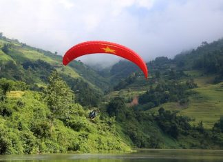 Cả nước có hơn 14,9 triệu ha rừng với tỷ lệ che phủ rừng toàn quốc đạt 42,03%