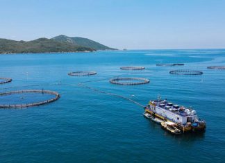 Khánh Hòa đặt trọng tâm vào công nghệ biển và năng lượng ngoài khơi để thúc đẩy tăng trưởng xanh