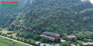 Tân Hóa, Quảng Trị: Làng du lịch tốt nhất thế giới