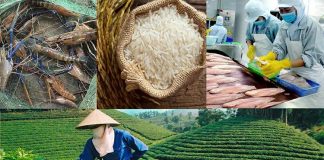 Xuất khẩu nông lâm thủy sản Việt Nam quý I/2026: Vượt “sóng dữ” địa chính trị, thu về gần 17 tỷ USD