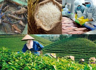 Xuất khẩu nông lâm thủy sản Việt Nam quý I/2026: Vượt “sóng dữ” địa chính trị, thu về gần 17 tỷ USD