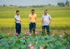 Chủ tịch Phan Gia Vũ Đình Mười: Xây dựng chuỗi liên kết lúa gạo bền vững tại Tây Nguyên