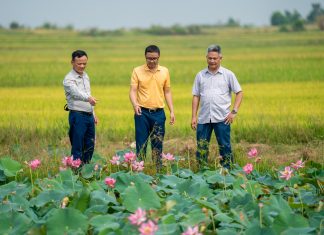 Chủ tịch Phan Gia Vũ Đình Mười: Xây dựng chuỗi liên kết lúa gạo bền vững tại Tây Nguyên