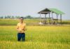 PHAN GIA – KHẲNG ĐỊNH VỊ THẾ TỪ CÁNH ĐỒNG ĐẾN NHÀ MÁY HIỆN ĐẠI BẬC NHẤT TÂY NGUYÊN