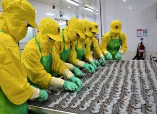 Cần Thơ và Cà Mau: “Tiếp lửa” cho mục tiêu xuất khẩu nông lâm thủy sản 74 tỷ USD