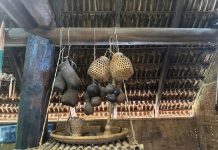 Buôn Akǒ Dhông – Giữ hồn Ê Đê giữa nhịp chuyển đại ngàn