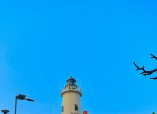 Đi chậm để đi xa – Hướng phát triển phù hợp cho Cồn Cỏ